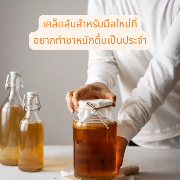 เคล็ดลับสำหรับมือใหม่ที่ อยากทำชาหมักดื่มเป็นประจำ