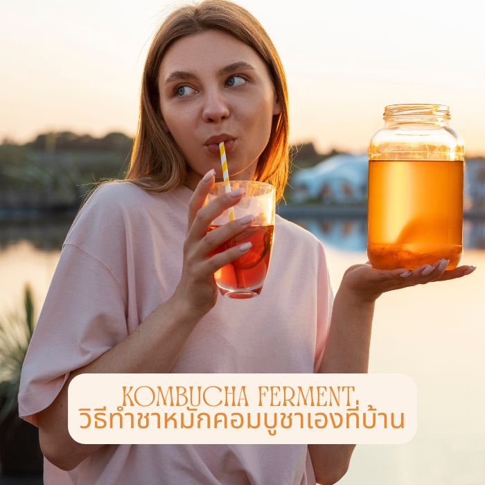 Kombucha Ferment วิธีทำชาหมักคอมบูชาเองที่บ้าน